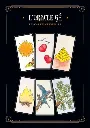 L-Oracle-Ge-61-lames-la-notice-Coffret (2).webp