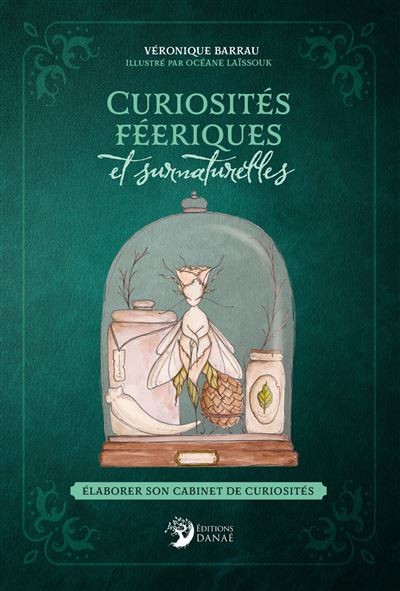 Curiosites Feeriques Et Surnaturelles Elaborer Son Cabinet